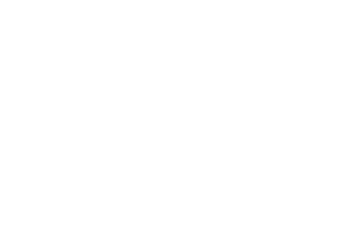 Vaultonomics - Strategic Precious Metal Storage & Bullion Risk Advisory